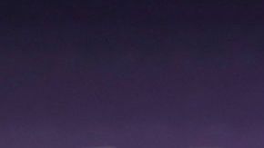 Olivier Echouafni consolando a una jugadora.