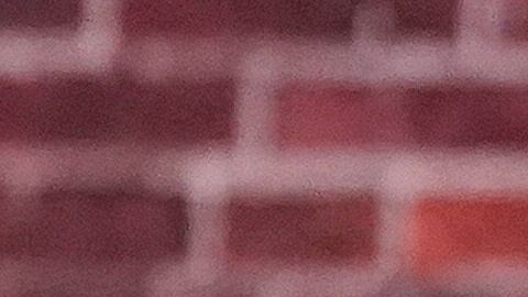 El presidente Donald Trump y el vicepresidente Mike Pence.