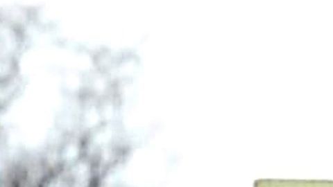 Razones que podrían desalentar recibir otro cheque de estímulo económico