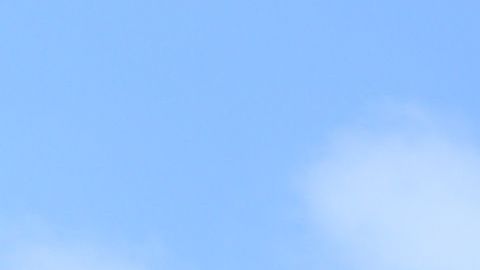 Costo carne pollo harina alimentos congelados escasez coronavirus supermercados comestibles