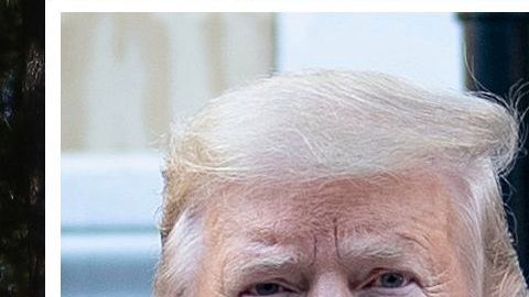 Al presidente Trump le parece "buena idea" esculpir su rostro en el Monte Rushmore.