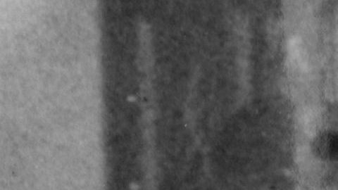 Hitler con Eva Braun  y dos niños desconocidos.