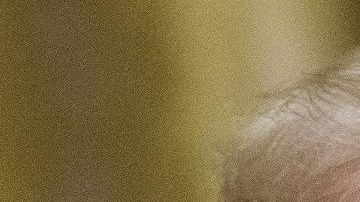 El presidente Trump anunció el perdón póstumo a Susan B. Anthony.