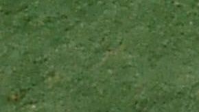 Santana deberá elegir entre México y Brasil.