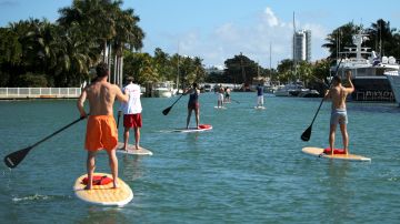 La práctica del paddleboarding es muy habitual en Miami.