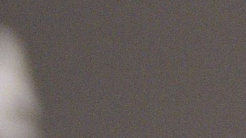 Jamie FoxxJamie Foxx