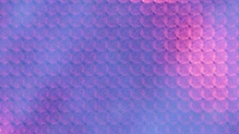 Alejandro Fernández en concierto junto a su hija Camila.