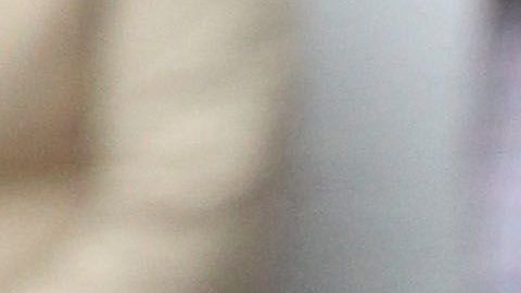 El Rey Juan Carlos I de España.