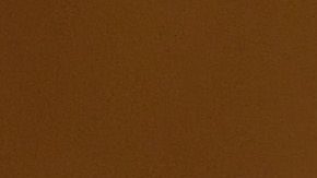 Facebook lanza su propia versión de TikTok se llama Instagram Reels