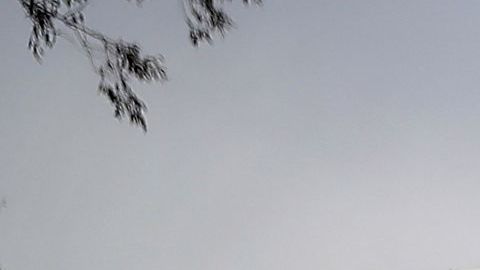 Hertz acciones bancarrota automóviles Uber dinero Nueva York