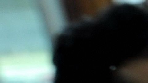 Expertos advierten de un posible estancamiento de la economía de Estados Unidos