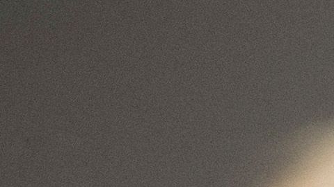 El exsenador Jeff Blake considera que el presidente Donald Trump no está uniendo al país.