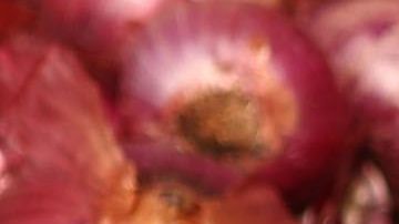 Brote de salmonella afecta a 400 personas en Estados Unidos y Canadá por consumir cebollas rojas