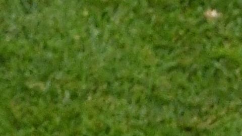 Layún y Neymar en el México vs. Brasil de Rusia 2018.