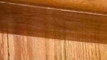 Héctor Suárez Gomís