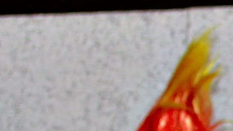 Cibernético Hospitalizado