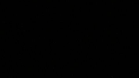 Julio César Chávez Jr.