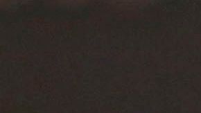 Todo ocurrió cuando Maradona dirigía a Dorados.