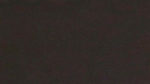 Todo ocurrió cuando Maradona dirigía a Dorados.