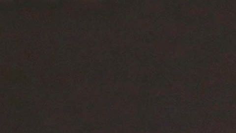 Todo ocurrió cuando Maradona dirigía a Dorados.