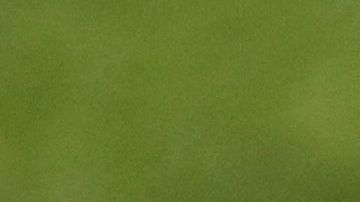 Norali Armenta en un partido con Monterrey.