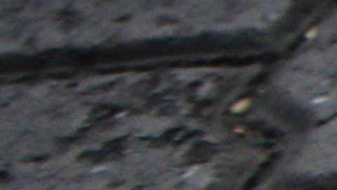 La empresa vive un caos por las acusaciones contra Guillermo Álvarez.