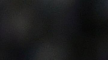 Carlos Salcedo en un partido con Tigres.