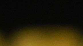 El guardameta de Tigres no puede vencer al COVID-19.