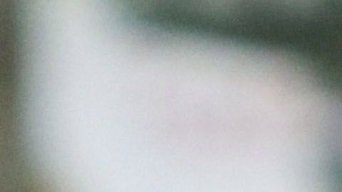 Chivas no ha anotado un solo gol en el torneo.