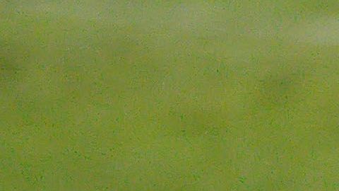 Anderson Julio dijo que lo hackearon.