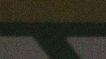 Pumas es el único invicto del Guard1anes 2020.