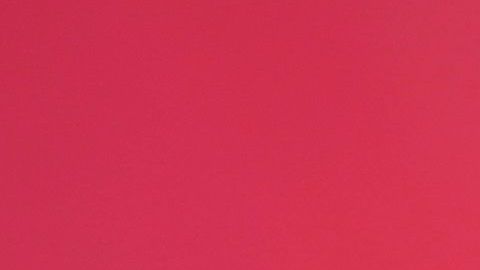 Gudiño participó con Chivas Sub-20.