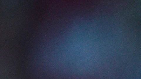 Alexis Vega regresó tras su castigo.