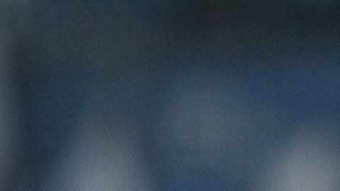 Jesus Gallardo Fiesta