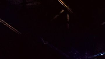 Kemonito lucha libre