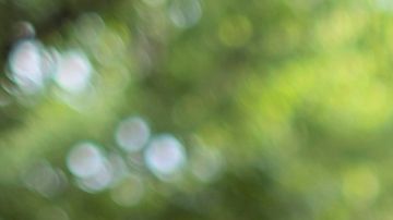 Luisa-Soaterna-Castañeda