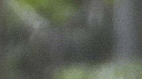 Photo© 2020 MAR/Grosby Group

Tulum, Agosto 2, 2020

EXCLUSIVO

Paola Rojas se divierte de vacaciones en Tulum en compania de un hombre que uno es su novio. Sera solo un amigo?