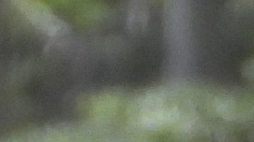 Photo© 2020 MAR/Grosby Group

Tulum, Agosto 2, 2020

EXCLUSIVO

Paola Rojas se divierte de vacaciones en Tulum en compania de un hombre que uno es su novio. Sera solo un amigo?