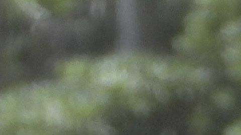 Photo© 2020 MAR/Grosby Group

Tulum, Agosto 2, 2020

EXCLUSIVO

Paola Rojas se divierte de vacaciones en Tulum en compania de un hombre que uno es su novio. Sera solo un amigo?