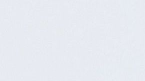 La primera dama Melania Trump y Stephanie Winston Wolkoff fueron amigas durante 15 años.