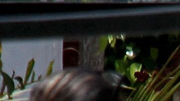 MEXICO-CRIME-VIOLENCE
EDITORS NOTE: Graphic content / A forensic expert works next to a corpse after an armed group attacked two houses killing nine people and leaving one wounded, at the Lopez Portillo neighborhood in Guadalajara, Jalisco state, Mexico on May 3, 2020. (Photo by ULISES RUIZ / AFP) / GRAPHIC CONTENT (Photo by ULISES RUIZ/AFP via Getty Images)