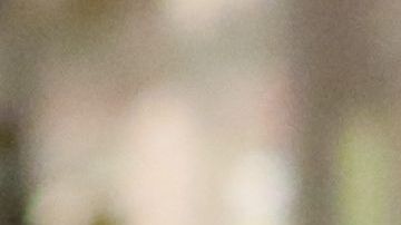 Raíl de Molina y Mia de Molina