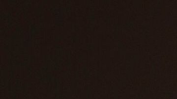 Madre e hijo se entregan a la Patrulla Fronteriza.