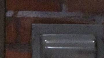 Manuel "El Loco" Valdés