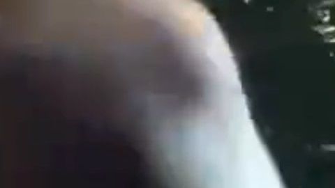 La Policía compartió el video en su cuenta de Twitter.