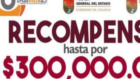 Todo México busca a Ofelia “N”, la presunta mujer que se robó al pequeño Dylan Esaú