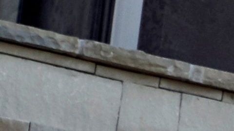 BMW X7 hana premio  WardsAuto 10 Best UX