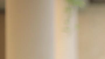 El alcohol puede aumentar el deseo sexual en las mujeres y a los hombres los hace sentirse más seguros.