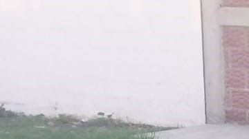 Sigue la ola de violencia en México.