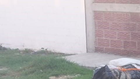 Sigue la ola de violencia en México.